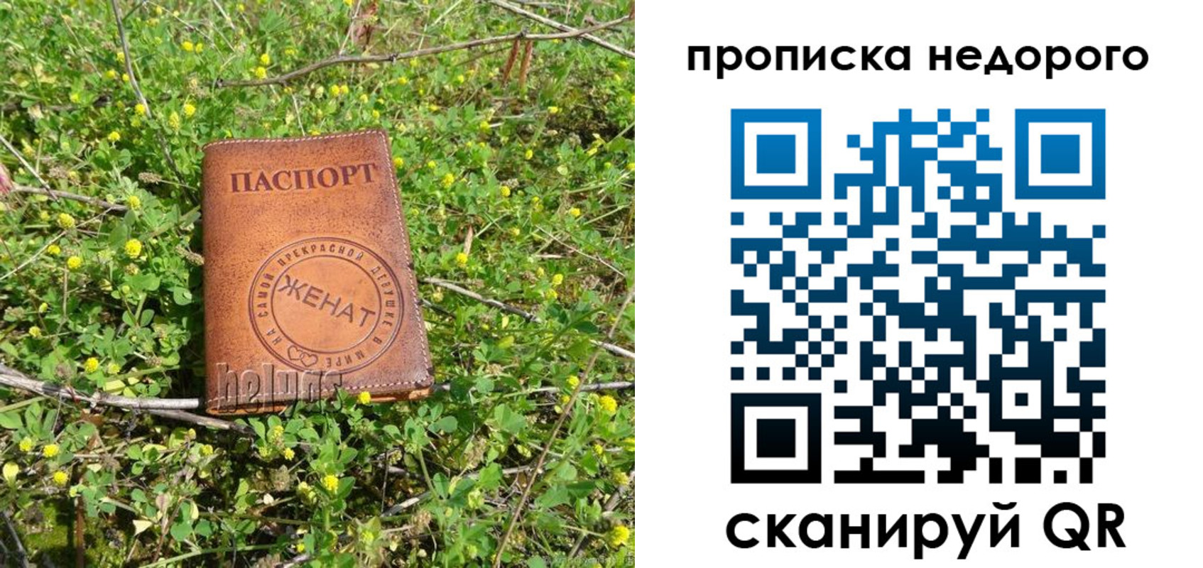 регистрация для дет. сада в Сасово
